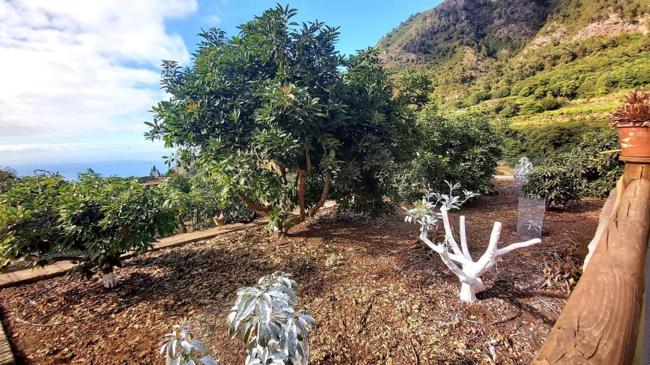 Casa Rural La Resbala - Casa Drago La Orotava Buitenkant foto